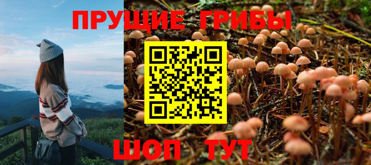 Галлюциногенные грибы мицелий  Вход с VPN  Кимры 